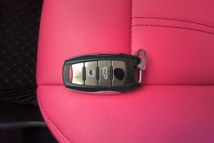 Used ORA White Cat 2020 305 km Luxury Version Vehicle Key