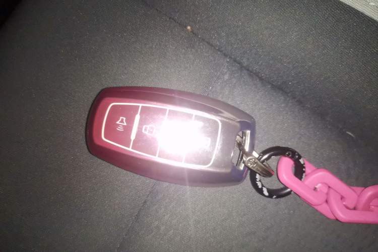 Used ORA White Cat 2020 305 km Luxury Version Vehicle Key