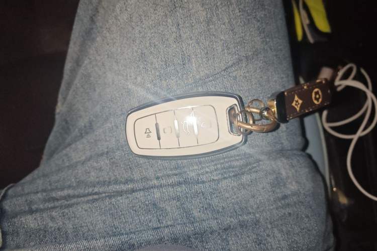 Used ORA White Cat 2020 360km Standard Version Vehicle Key