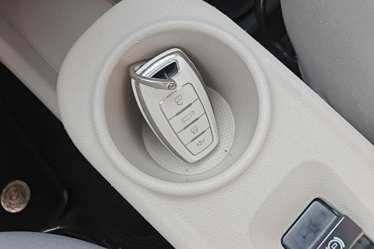 Used ORA White Cat 2020 305 km Luxury Version Vehicle Key