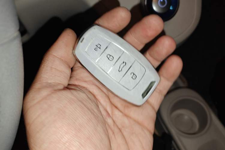 Used ORA White Cat 2020 360 km Luxury Version Vehicle Key