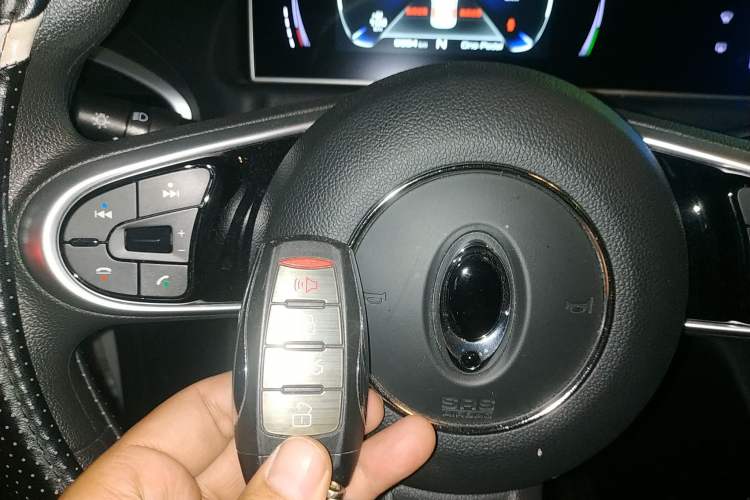 Used ORA White Cat 2020 401 km Long-Range Version Vehicle Key