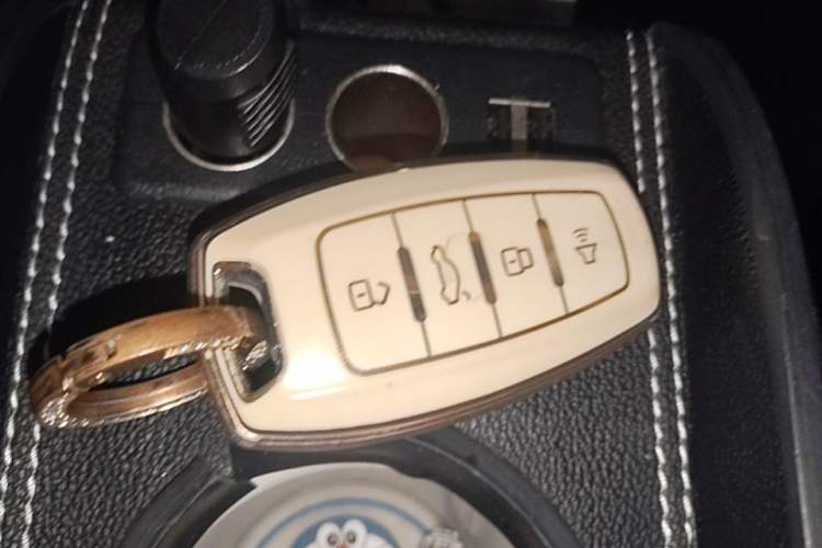 Used ORA White Cat 2020 305 km Luxury Version Vehicle Key