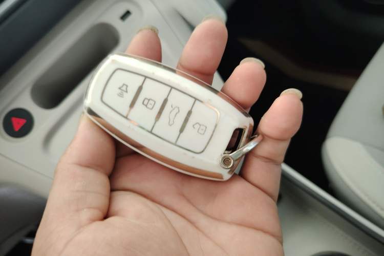 Used ORA White Cat 2020 305 km Luxury Version Vehicle Key
