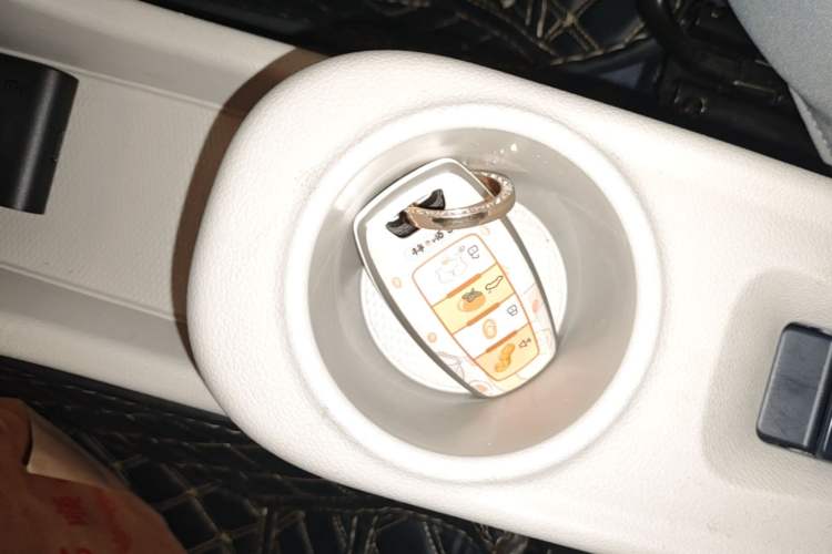 Used ORA White Cat 2020 360 km Luxury Version Vehicle Key