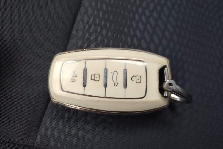 Used ORA White Cat 2020 360 km Luxury Version Vehicle Key