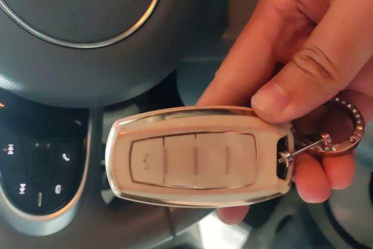 Used ORA White Cat 2020 401 km Long-Range Version Vehicle Key