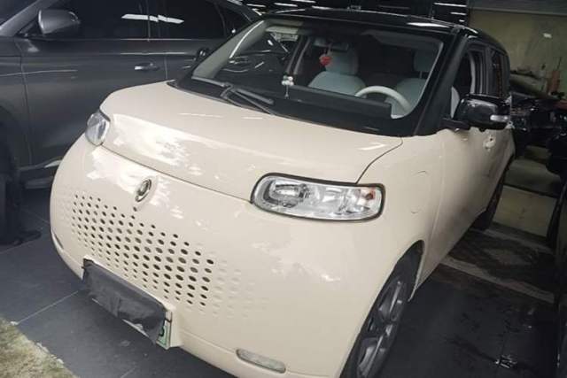 Used ORA White Cat 2020 305 km Luxury Version