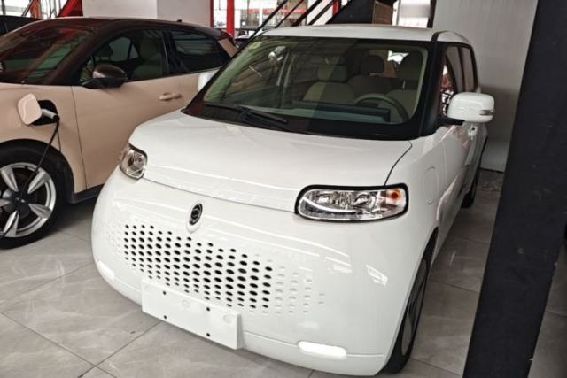 Used ORA White Cat 2020 360 km Luxury Version