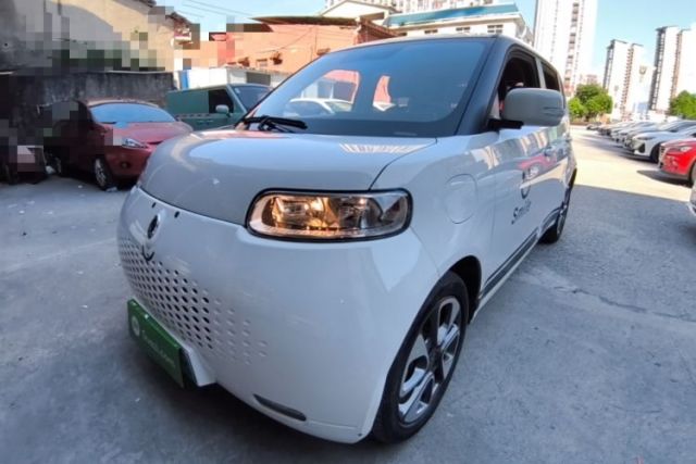 Used ORA White Cat 2020 305 km Luxury Version