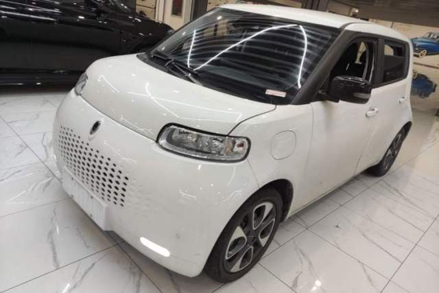 Used ORA White Cat 2020 401 km Flagship Version