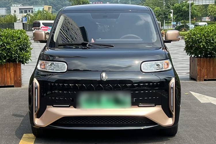 Used ORA White Cat 2022 Xiaoyue Mao Edition 360 km Luxury Model Lithium NMC Exterior 4