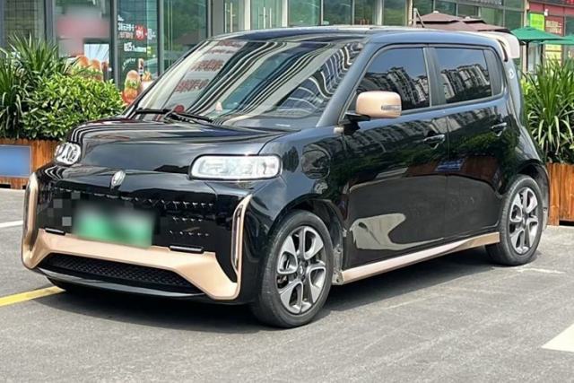 Used ORA White Cat 2022 Xiaoyue Mao Edition 360 km Luxury Model Lithium NMC