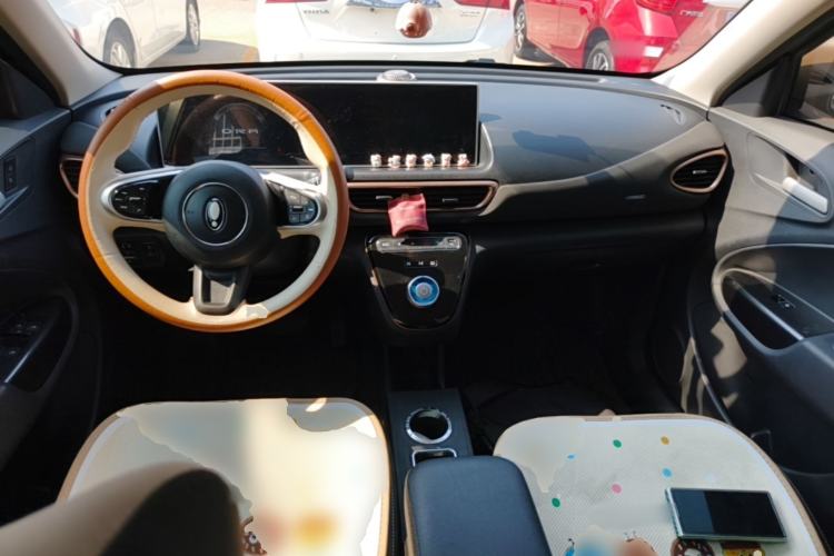 Used ORA White Cat 2022 Xiaoyue Mao Edition 360 km Luxury Model Lithium NMC Center Console