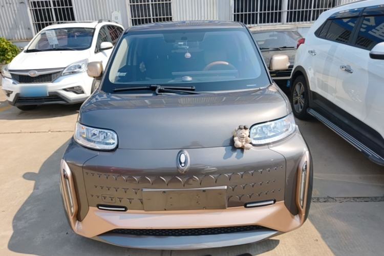 Used ORA White Cat 2022 Xiaoyue Mao Edition 360 km Luxury Model Lithium NMC Front