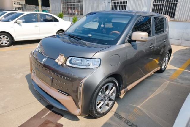 Used ORA White Cat 2022 Xiaoyue Mao Edition 360 km Luxury Model Lithium NMC