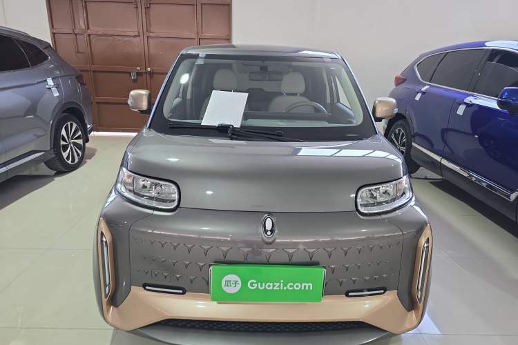 Used ORA White Cat 2022 Xiaoyue Mao Edition 360 km Luxury Model Lithium NMC Front