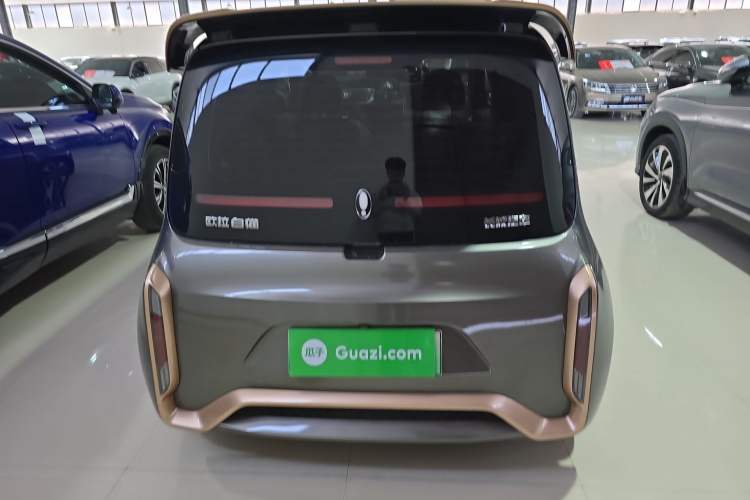 Used ORA White Cat 2022 Xiaoyue Mao Edition 360 km Luxury Model Lithium NMC Rear