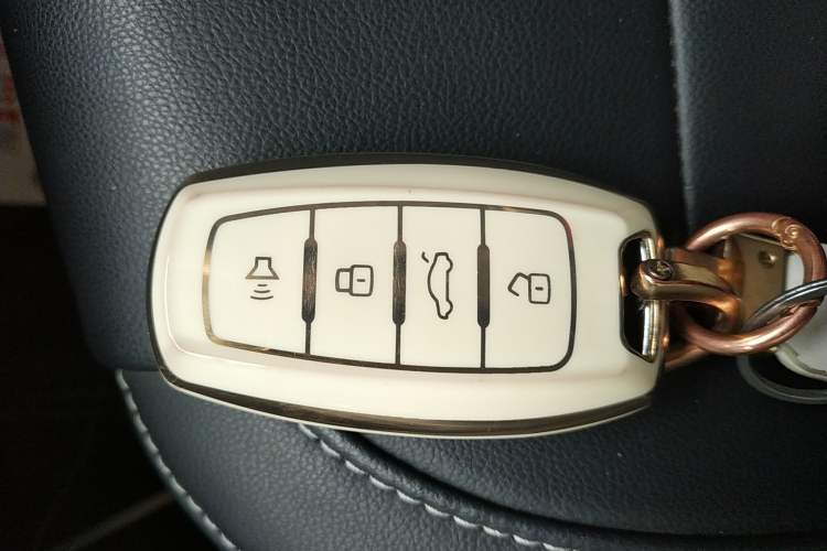 Used ORA White Cat 2022 Xiaoyue Mao Edition 401 km Flagship Model Lithium Ternary Vehicle Key