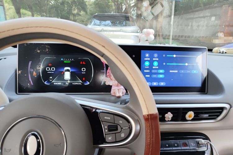Used ORA White Cat 2022 Upgraded Model 305km Range Luxury Version Lithium-Ion Battery Audio And AC Panel