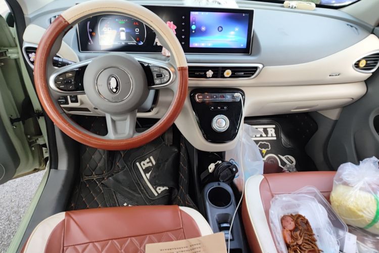Used ORA White Cat 2022 Upgraded Model 305km Range Luxury Version Lithium-Ion Battery Center Console