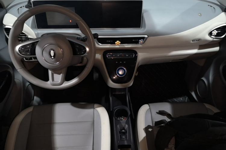 Used ORA White Cat 2022 Xiaoyue Mao Edition 360 km Luxury Model Lithium NMC Center Console