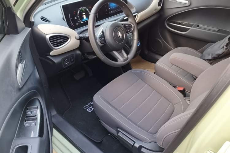 Used ORA White Cat 2022 Upgraded Model 305km Range Luxury Version Lithium-Ion Battery Driver Seat