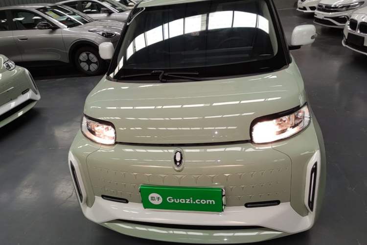 Used ORA White Cat 2022 Xiaoyue Mao Edition 360 km Luxury Model Lithium NMC Front