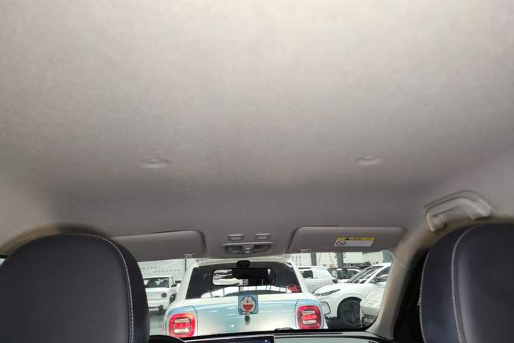 Used ORA White Cat 2022 Xiaoyue Mao Edition 360 km Luxury Model Lithium NMC Headliner