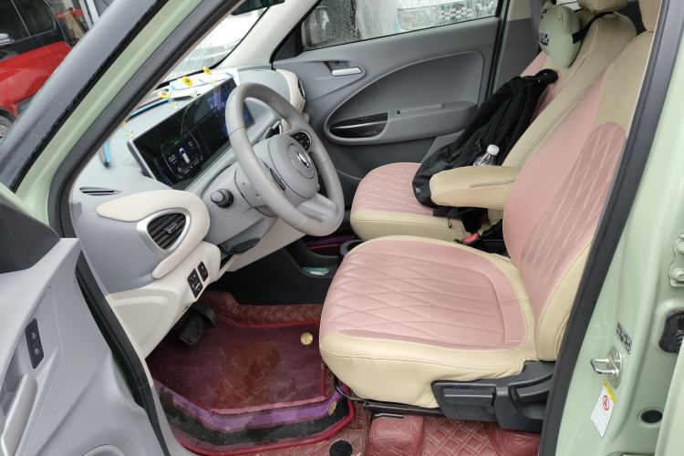Used ORA White Cat 2022 Upgraded Model 305km Range Luxury Version Lithium-Ion Battery Left Front Seat