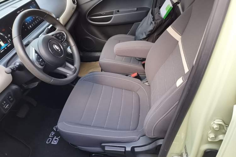 Used ORA White Cat 2022 Upgraded Model 305km Range Luxury Version Lithium-Ion Battery Left Front Seat