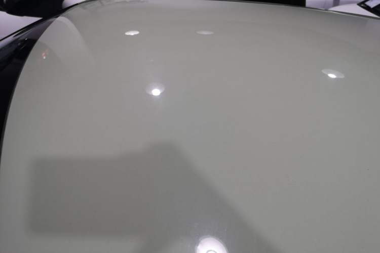 Used ORA White Cat 2022 Xiaoyue Mao Edition 360 km Luxury Model Lithium NMC Roof