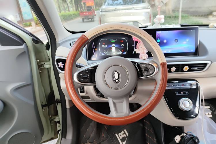 Used ORA White Cat 2022 Upgraded Model 305km Range Luxury Version Lithium-Ion Battery Steering Wheel