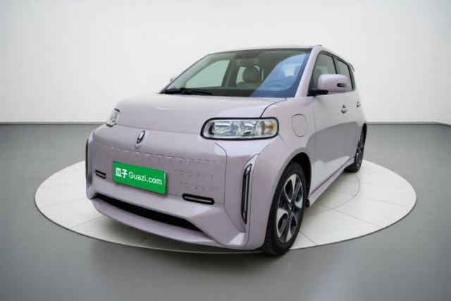 Used ORA White Cat 2022 Xiaoyue Mao Edition 360 km Luxury Model Lithium NMC