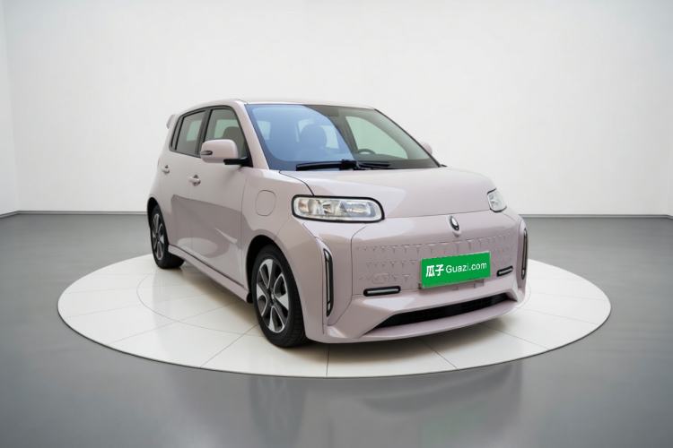 Used ORA White Cat 2022 Xiaoyue Mao Edition 360 km Luxury Model Lithium NMC Exterior 2