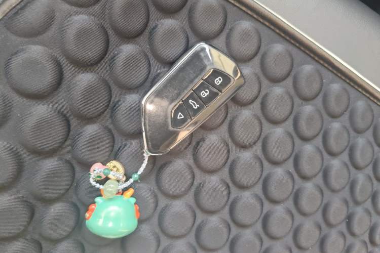 Used ORA White Cat 2022 Xiaoyue Mao Edition 360 km Luxury Model Lithium NMC Interior 1