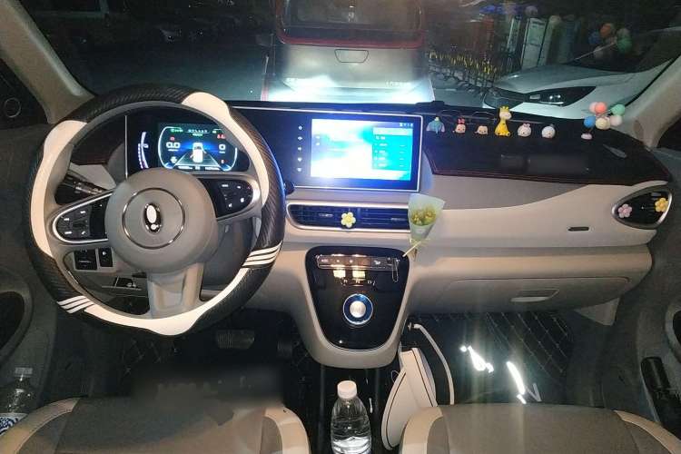 Used ORA White Cat 2022 Upgraded Model 305km Range Luxury Version Lithium-Ion Battery Center Console