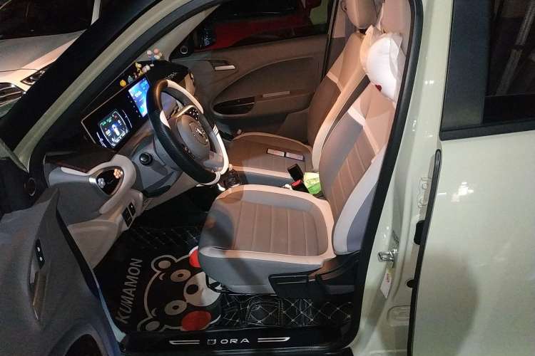 Used ORA White Cat 2022 Upgraded Model 305km Range Luxury Version Lithium-Ion Battery Left Front Seat