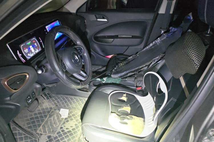 Used ORA White Cat 2022 Xiaoyue Mao Edition 360 km Luxury Model Lithium NMC Left Front Seat