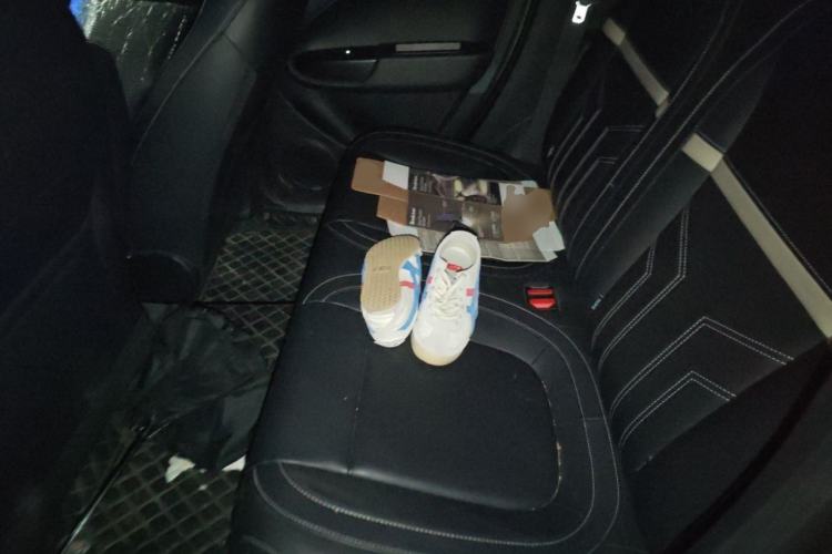 Used ORA White Cat 2022 Xiaoyue Mao Edition 360 km Luxury Model Lithium NMC Left Rear Seat