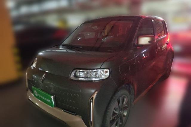 Used ORA White Cat 2022 Xiaoyue Mao Edition 360 km Luxury Model Lithium NMC