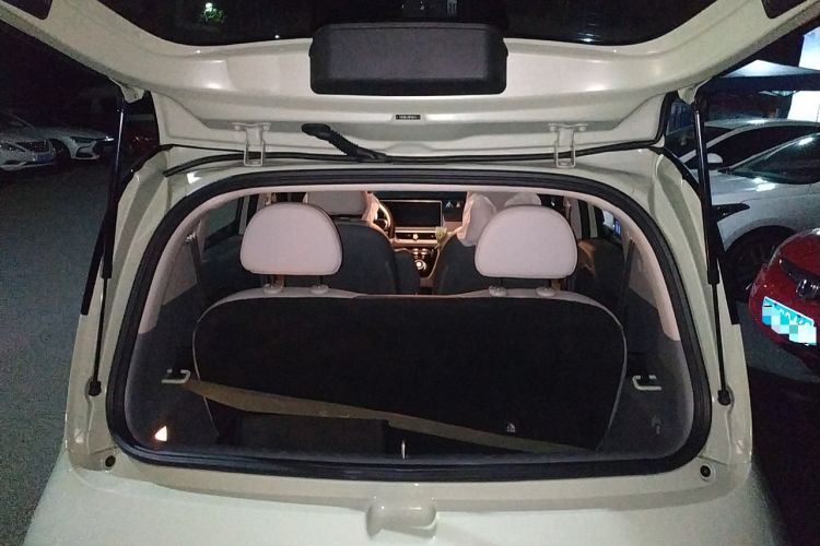 Used ORA White Cat 2022 Upgraded Model 305km Range Luxury Version Lithium-Ion Battery Trunk