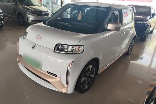 Used ORA White Cat 2022 Xiaoyue Mao Edition 360 km Luxury Model Lithium NMC