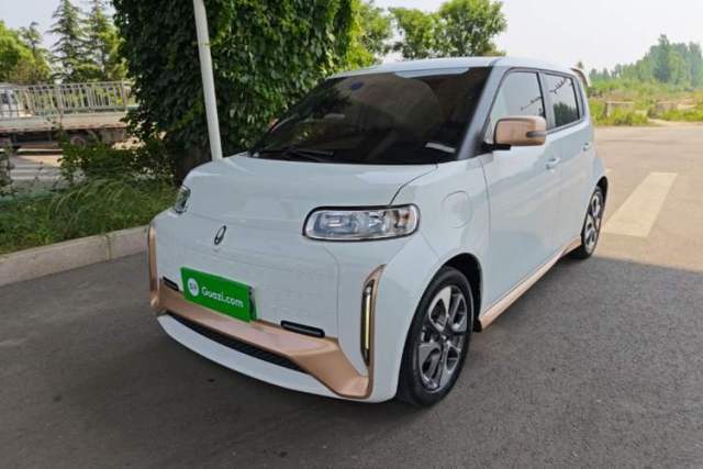 Used ORA White Cat 2022 Xiaoyue Mao Edition 360 km Luxury Model Lithium NMC