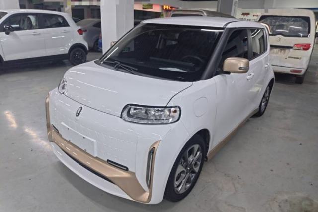 Used ORA White Cat 2022 Xiaoyue Mao Edition 360 km Luxury Model Lithium NMC