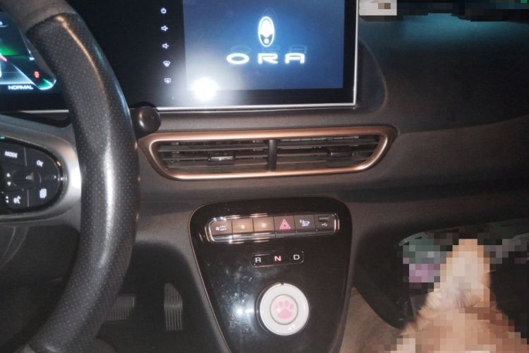 Used ORA White Cat 2022 Xiaoyue Mao Edition 360 km Luxury Model Lithium NMC Audio And AC Panel