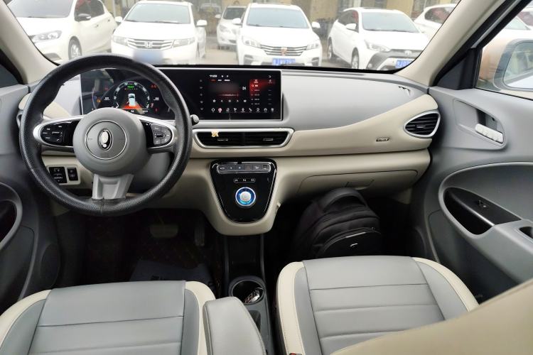 Used ORA White Cat 2022 Xiaoyue Mao Edition 360 km Luxury Model Lithium NMC Center Console