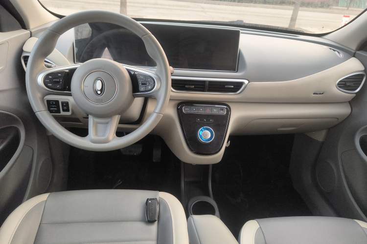 Used ORA White Cat 2022 Xiaoyue Mao Edition 360 km Luxury Model Lithium NMC Center Console