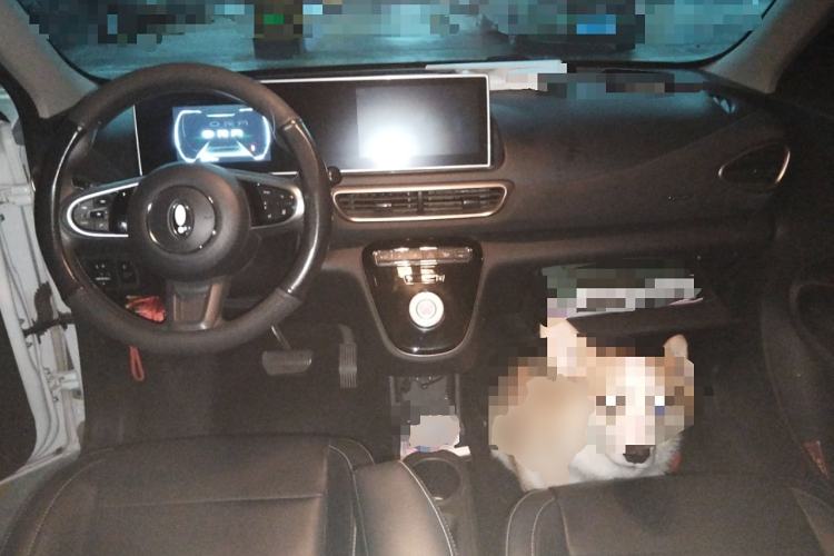 Used ORA White Cat 2022 Xiaoyue Mao Edition 360 km Luxury Model Lithium NMC Center Console