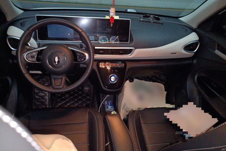 Used ORA White Cat 2022 Xiaoyue Mao Edition 360 km Luxury Model Lithium NMC Center Console